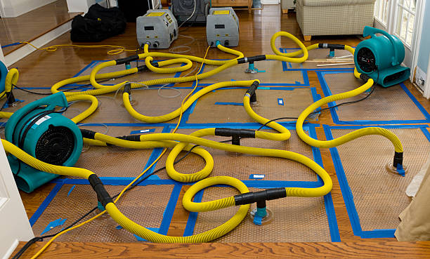 Professional Sewage Cleanup technician working in Fulton, IL